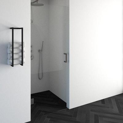 BRAUER Void nisdeur helder glas 80x200 omkeerbaar incl. glascoating PVD RVS-kleurig geborsteld GS-VON1H80200NG