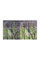 Hoya Grijsfilter PRO ND16 - 4 stops - 82mm - thumbnail