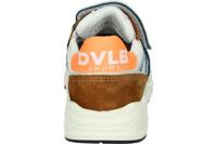 Develab 41013 - alle - thumbnail