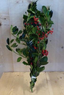 Kerstgroen met bes groen(/bont-groen) Warentuin Natuurlijk - Warentuin natuurlijk