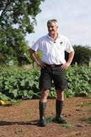 Dunlop C762933 Purofort+ full safety S5 groen Groen - Maat 42 - 15.032.051.42 - thumbnail