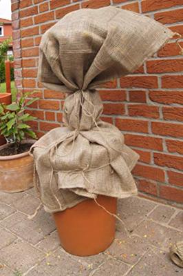 Connex Jute-Koord 4Mm X 20M - FLOR78702
