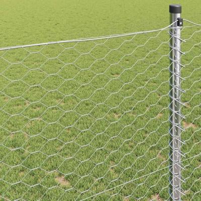 Hexagon Hek Zilver 0.6 x 50 m Gegalvaniseerd staal