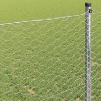 Hexagon Hek Zilver 0.6 x 50 m Gegalvaniseerd staal - thumbnail