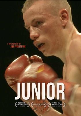 Junior - DVD (9789461873569)