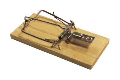 BSI muizenval hout 4 stuks