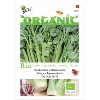 Biologische Bleekselderij Tall Utah 52/70 - thumbnail