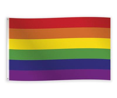 Vlag Regenboog 90 x 150 cm