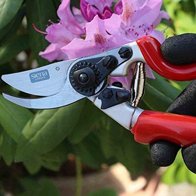 Siena Garden CG1070 Grasschaar 21.5 cm Bypass