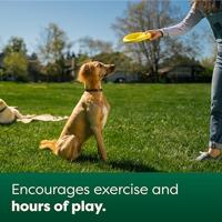 Hondenspeelgoed Earth Rated - thumbnail