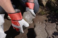 Connex Handschoen Premium Leder Gs Gr08 - COX938632 - thumbnail