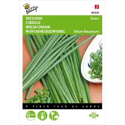 Buzzy® Grove Bieslook Zaden