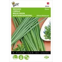Buzzy® Grove Bieslook Zaden - thumbnail
