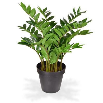 Zamioculcas kunstplant 70cm Zamioculcas kunstplant 70cm