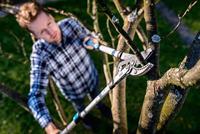 Gazonschaar Cellfast - thumbnail