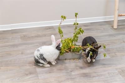 TRIXIE VOEDERRUIF KERAMIEK / HOUT GRIJS 26X17X23 CM TRIXIE VOEDERRUIF KERAMIEK / HOUT GRIJS 26X17X23 CM