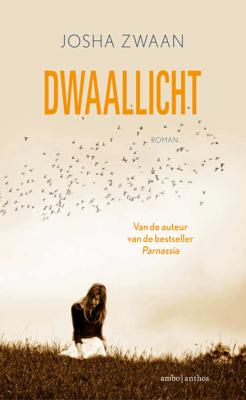 Dwaallicht (Paperback)