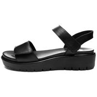 Ara 1233518 - alle - thumbnail