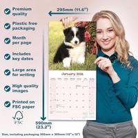 Puppies Kalender 2026 - thumbnail