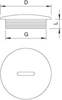 OBO Bettermann 2033003 108 M12 PS Blindstop PG12 Kunststof Lichtgrijs 1 stuk(s) - thumbnail