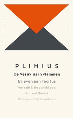 De Vesuvius in vlammen - Plinius - ebook