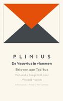 De Vesuvius in vlammen - Plinius - ebook - thumbnail