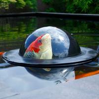 Velda Floating Fish Dome M 35 cm - thumbnail
