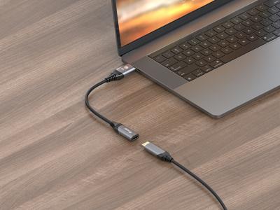 Equip 133446 video kabel adapter 0,15 m DisplayPort HDMI Zwart, Grijs