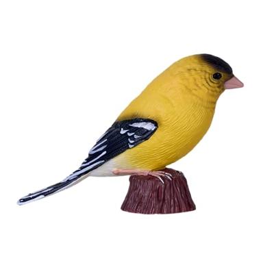 Mojo farmland amerikaanse goudvink - 381111