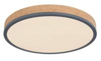Globo Dimbare led plafondlampDoro Ø 45cm - 416080WD2R-CCT - thumbnail