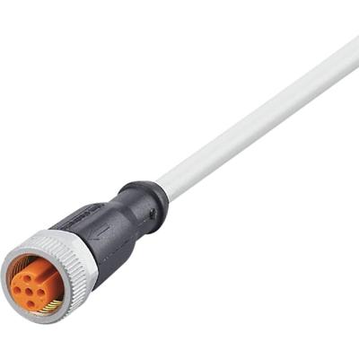 ifm Electronic EVW168 Aansluitkabel Aantal polen (sensoren): 5 Bus, recht 5 m 1 stuk(s)