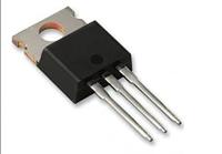 Ezelsoren / Andoorn - thumbnail