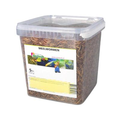 Meelwormen 5 liter voer Suren Collection - Suren collection