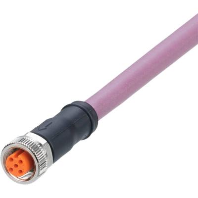 ifm Electronic EVC957 Aansluitkabel Aantal polen (sensoren): 5 Bus, recht 2 m 1 stuk(s)