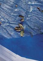 GRE Summer Bubble Cover - Blauw - thumbnail