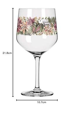 Ritzenhoff Schattenfauna Gin glazen 2 stuks