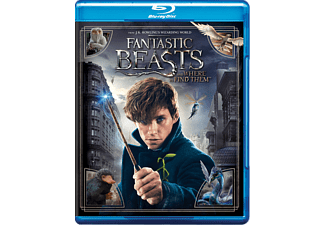 Fantastic Beasts And Where To Find Them Fantastic Beasts And Where To Find Them