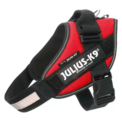 Julius-K9 IDC-Powertuig Mini 49-67cm rood