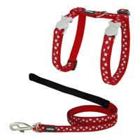 Kattentuigje Red Dingo Style Rood Ster Wit Riem - thumbnail