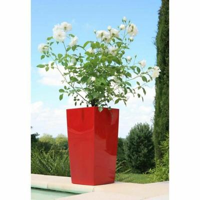Bloempot Riviera Rood Plastic Vierkant Cirkelvormig Modern 29 x 29 x 52 cm 29 x 29 cm