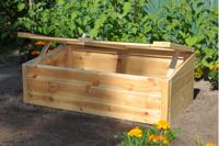 Strawberry Queen kweekkas - thumbnail