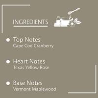 Damesparfum Tommy Hilfiger Tommy Girl EDT 50 ml - thumbnail