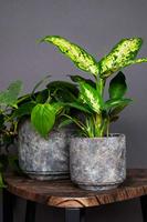 Bloempot Saar Grijs Ø14cm - thumbnail