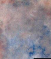 Falcon Eyes Achtergronddoek S122 2,9x7 m - thumbnail