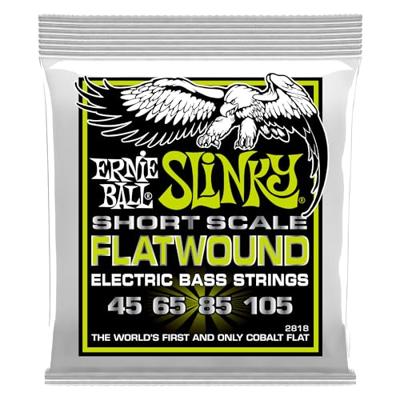 Ernie Ball 2818 Regular Slinky Flatwound Short Scale 45-105 snarenset voor basgitaar