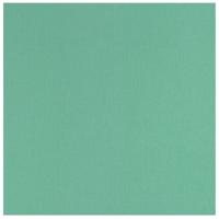 Florence • cardstock papier 216g textuur 30,5x30,5cm mint 20x - thumbnail