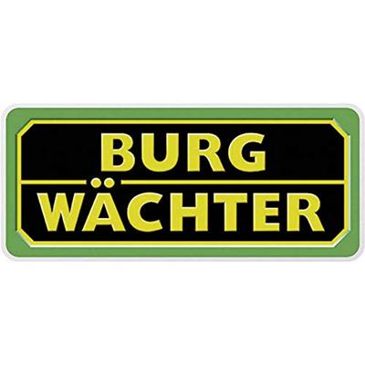 Burg Wächter TS 4000 S Deurdranger Zilver Burg Wächter TS 4000 S Deurdranger Zilver