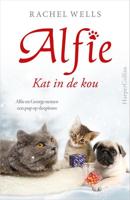 Kat in de kou (Paperback) - thumbnail