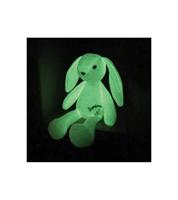 Interactief Huisdier Jemini LIMINOU (FR) - thumbnail