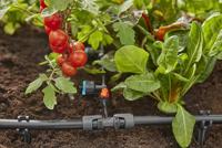 Gardena Micro Drip Systeem T-stuk 1/2” - 3/16" - thumbnail
